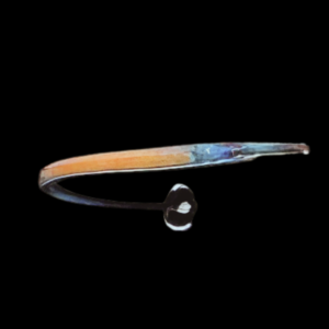 Flame Pipefish Doryrhamphus Janssi