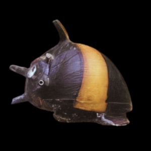 Spikey Thorn Antler Snail Clithon Diadema 2cm