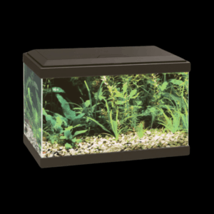 Ciano Aqua 20 Aquarium With LED Light - Black 17L