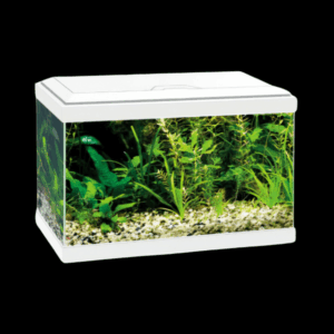 Ciano Aqua 20 Aquarium With LED Light - White 17L
