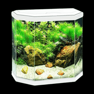 Ciano Aqua 30 Hex Aquarium With LED Light - White 25L