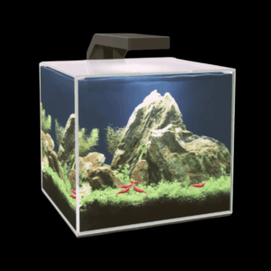 Ciano Cube 15 Aquarium