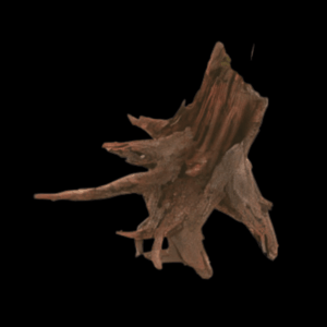 Corbo Root Stump Large - Box of 2 pcs