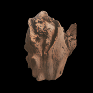 Corbo Root Stump Medium - Box of 2 pcs