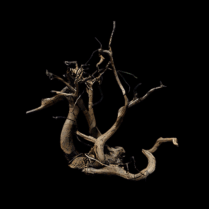 Dark Moor Wood per kg