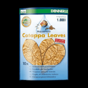 Dennerle Catappa Leaves Large x 10 pcs