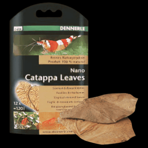 Dennerle Nano Catappa Leaves x 12 pcs