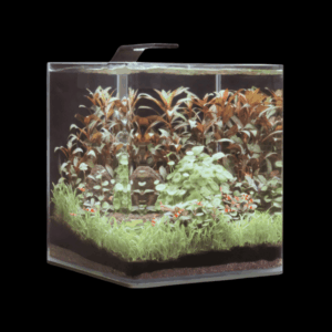 Dennerle Nano Cube Tank White Glass 30L