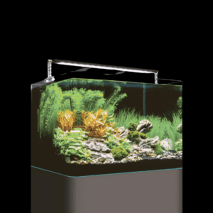 Dennerle Nano Tank Plant Pro 55L