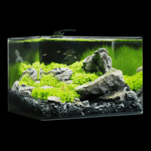 Dennerle Nano Scaper's Tank 55L