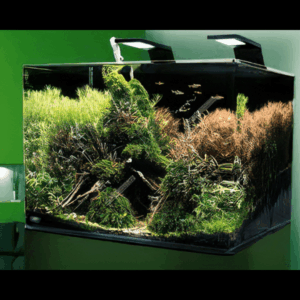 Dennerle Nano Tank White Glass 55L