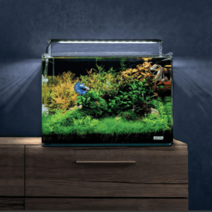 Dennerle Nano Tank White Glass 70L