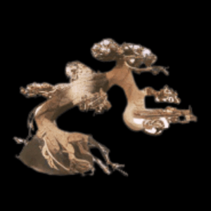 Fully Aquatic Hand Made Bonsai Tree 20cm - CHESNUT