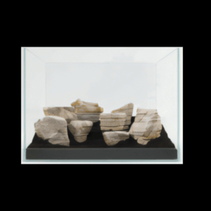 Gobi Rock Piece 0.8 - 1.2kg