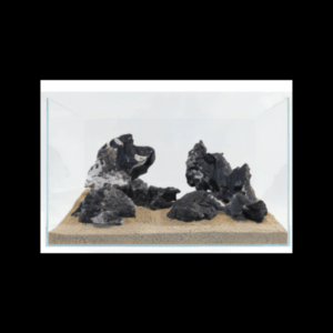 Leopard Stone Piece 0.8 - 1.2kg