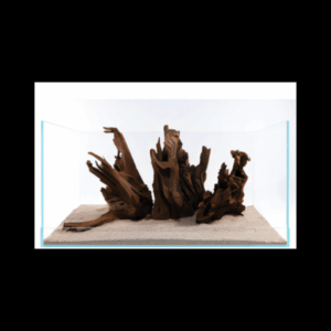 Mangrove Large Piece 30-60cm
