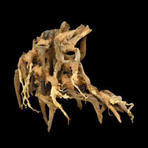 Octopus Wood Small Piece 15 x 20 x 10cm