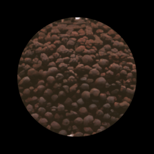 Oliver Knott Naturesoil 10L - Black