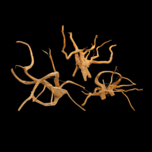 Barcoded Red Moor Wood per kg