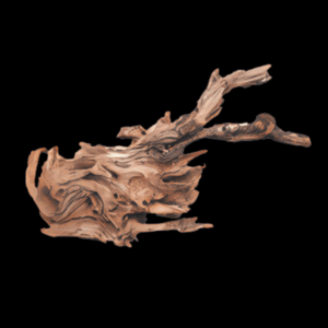 Small Driftwood 10-40cm per kg