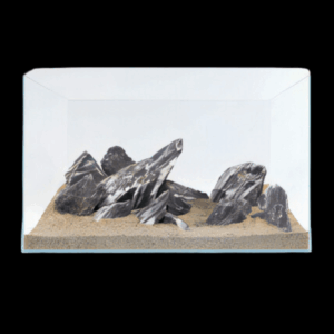 Zebra Rock Piece 2.3 - 2.7kg